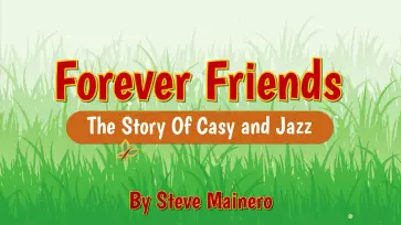 Book-Trailer-Video-Forever-Friends - thumbnail